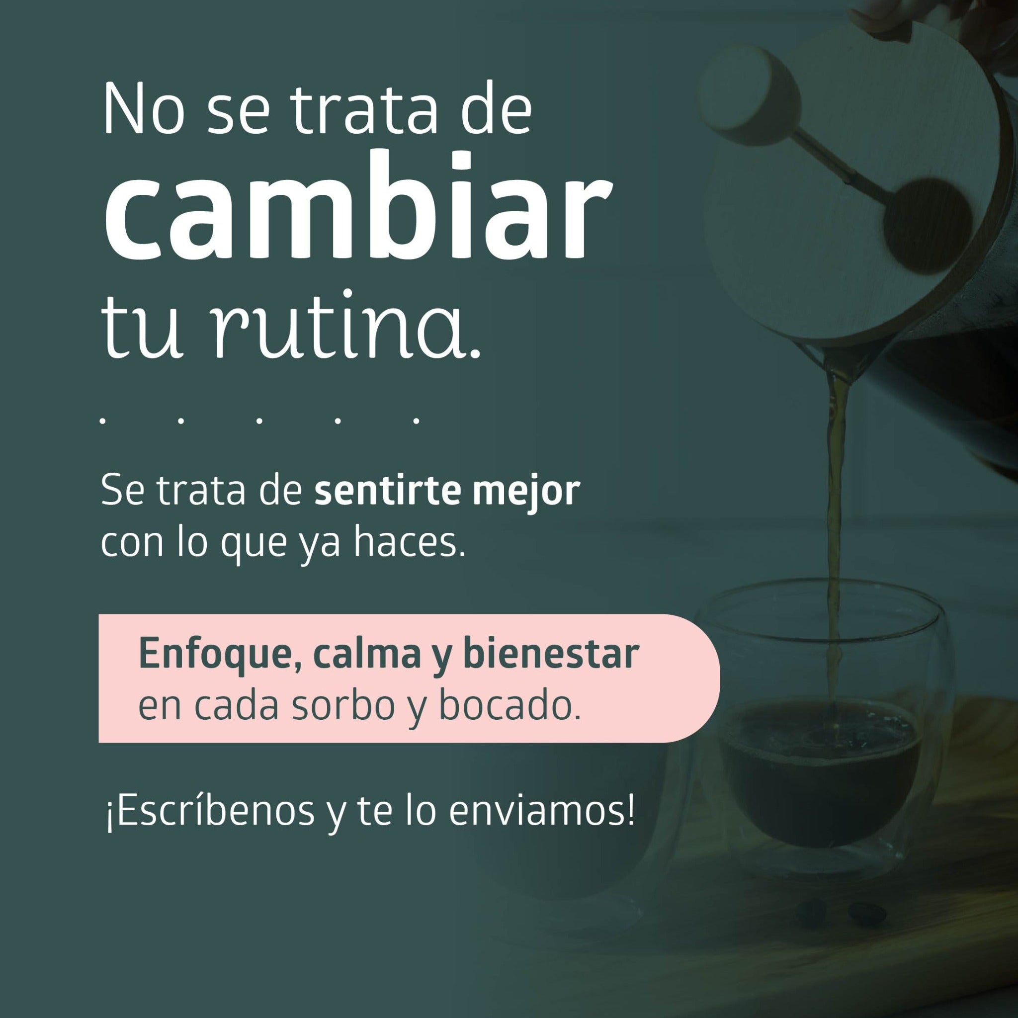 Descubre Welltyness