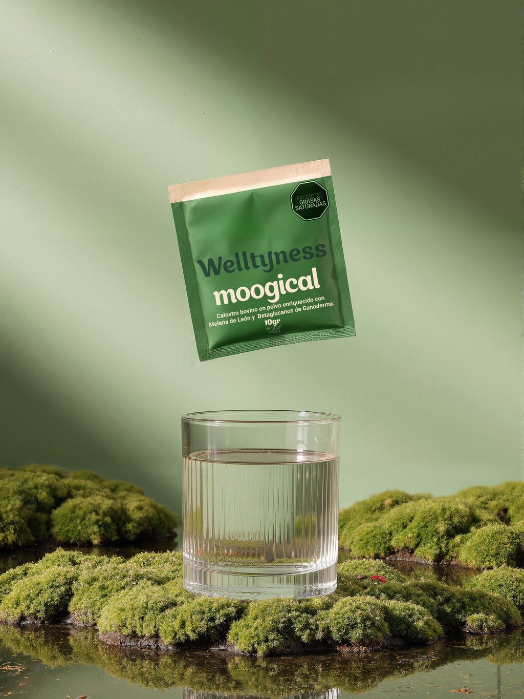 Moogical